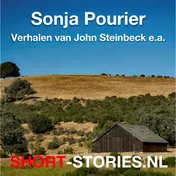 Omslag van Verhalen van John Steinbeck e.a.