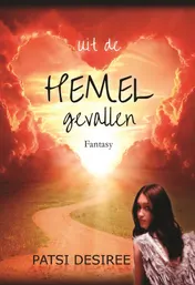 Omslag van Uit de hemel gevallen