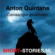 Omslag van Gevaarlijke avonturen