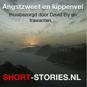Omslag van Angstzweet en kippenvel
