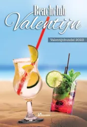 Omslag van Beachclub Valentijn