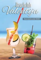 Omslag van Beachclub Valentijn