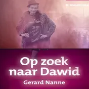 Omslag van Op zoek naar Dawid