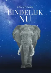 Omslag van Eindelijk Nu