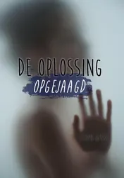 Omslag van De oplossing