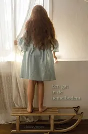 Omslag van Een gat in de hemelbodem