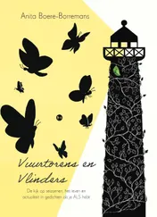 Omslag van Vuurtorens en Vlinders