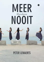 Omslag van Meer nooit