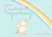 Omslag van De andere kant van de regenboog