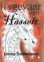 Omslag van Het gevaar van Hasselt