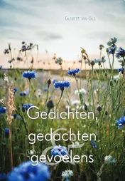 Omslag van Zomaar wat