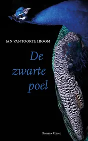 Omslag van De zwarte poel
