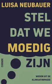 Omslag van Stel dat we moedig zijn