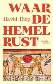 Omslag van Waar de hemel rust