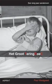 Omslag van Het groot Teringboec