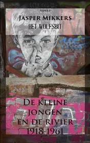 Omslag van De kleine jongen en de rivier
