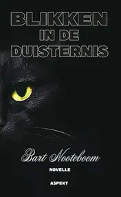 Omslag van Blikken in de duisternis