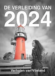 Omslag van De verleiding van 2024