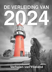 Omslag van De verleiding van 2024