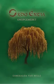 Omslag van Onopgemerkt