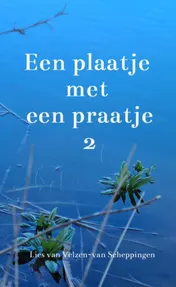 Omslag van Een plaatje met een praatje 2