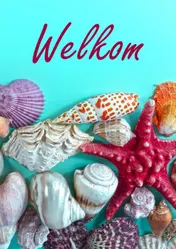 Omslag van Gastenboek Bed en Breakfast / Vakantiehuis / Hotel / Vakantiewoning (A5, paperback)