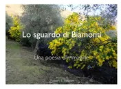 Omslag van Lo sguardo di Biamonti
