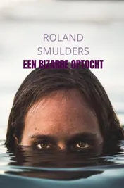 Omslag van Een bizarre optocht