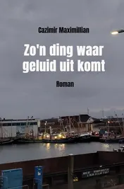 Omslag van Zo'n ding waar geluid uit komt