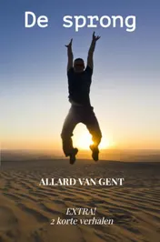 Omslag van De sprong