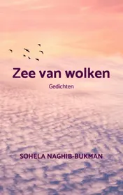 Omslag van Zee van wolken