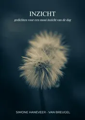 Omslag van Inzicht