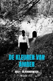 Omslag van De kleuren van Amber