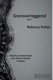 Omslag van Grensverleggend