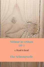 Omslag van Nitimur in vetitum