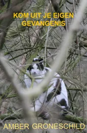 Omslag van Kom uit je eigen gevangenis