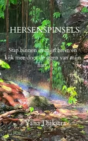 Omslag van HERSENSPINSELS