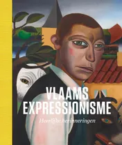 Omslag van Vlaams expressionisme