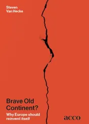 Omslag van Brave old continent?