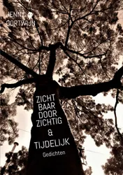Omslag van Zichtbaar doorzichtig & Tijdelijk