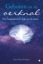 Omslag van Geboren uit de oerknal