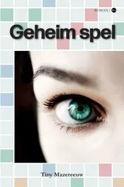 Omslag van Geheim spel