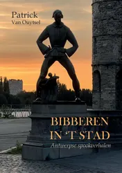 Omslag van Bibberen in 't stad
