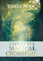 Omslag van Caught in a magical crossfire