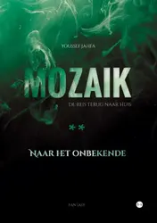 Omslag van Mozaik
