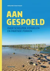 Omslag van Aangespoeld