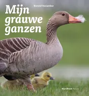 Omslag van Mijn grauwe ganzen