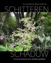 Omslag van Schitteren in de schaduw