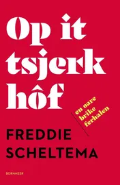 Omslag van Op it tsjerkhôf en oare brike ferhalen