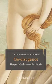Omslag van Gewist genot